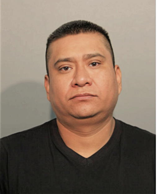 ANDRES C BERNABE, Cook County, Illinois