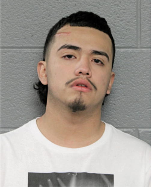 ENRIQUE CORTEZ, Cook County, Illinois