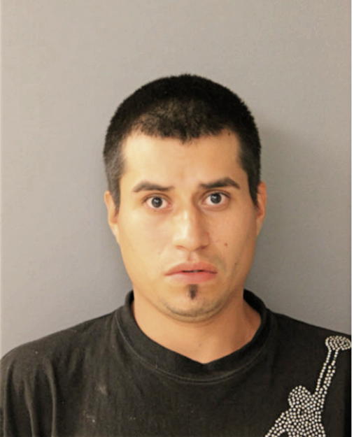 ORTEGA CRUZ, Cook County, Illinois
