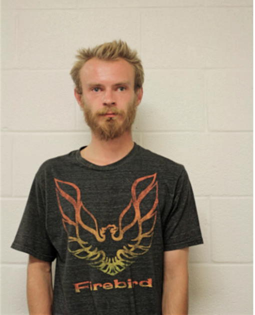 ANDRZEJ P DOMIAN, Cook County, Illinois