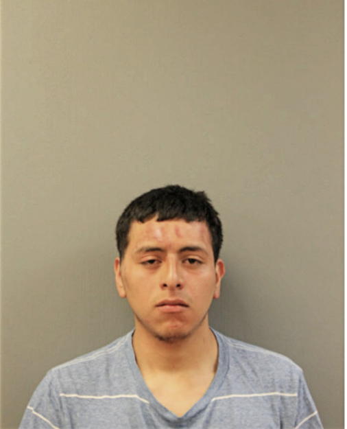 LUIS E NAVA, Cook County, Illinois