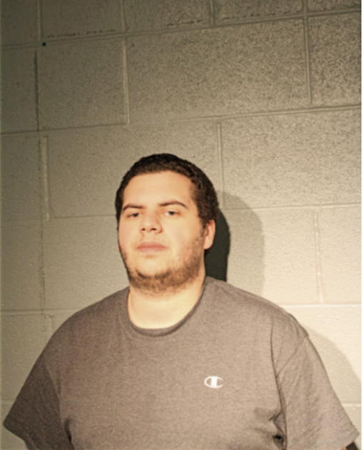 LUIS A ESTRADA, Cook County, Illinois