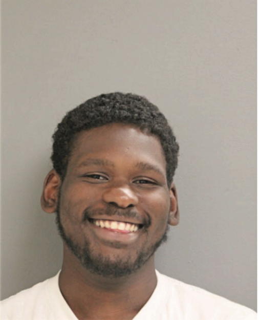 DENNIS L EVANS, Cook County, Illinois