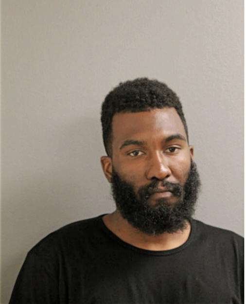 CHRISTOPHER L FOSTER, Cook County, Illinois