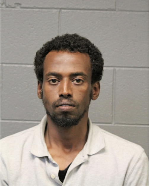 YOVIEL T GEBRE, Cook County, Illinois