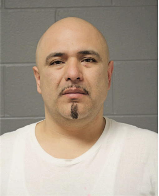 ANGEL GONZALEZ, Cook County, Illinois