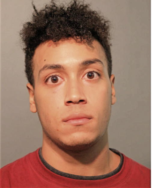 CAMERON D GREENEBAUM, Cook County, Illinois