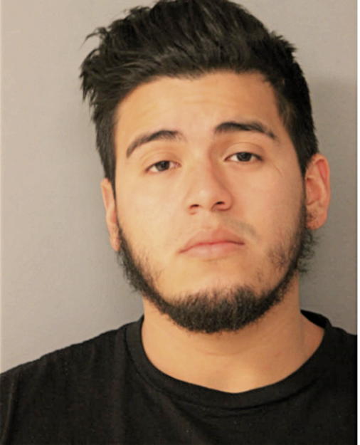 ALLAN E HERNANDEZ, Cook County, Illinois