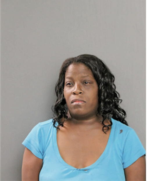 STACEY S JAMISON, Cook County, Illinois