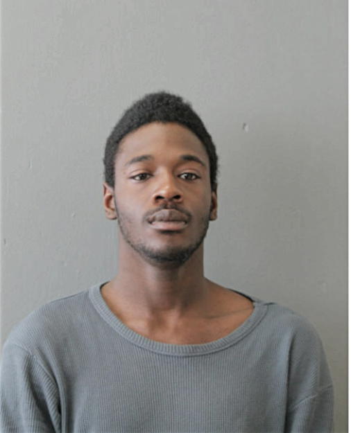 FERDINAND L JOHNSON, Cook County, Illinois