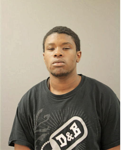 DAVID A JONES, Cook County, Illinois