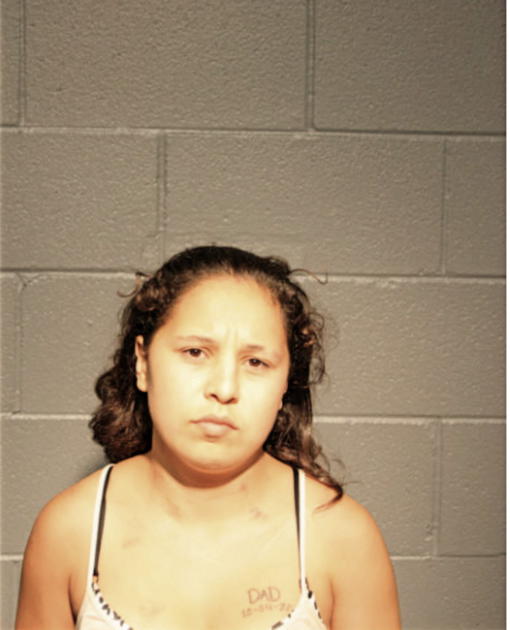 BRENDA A MARES, Cook County, Illinois