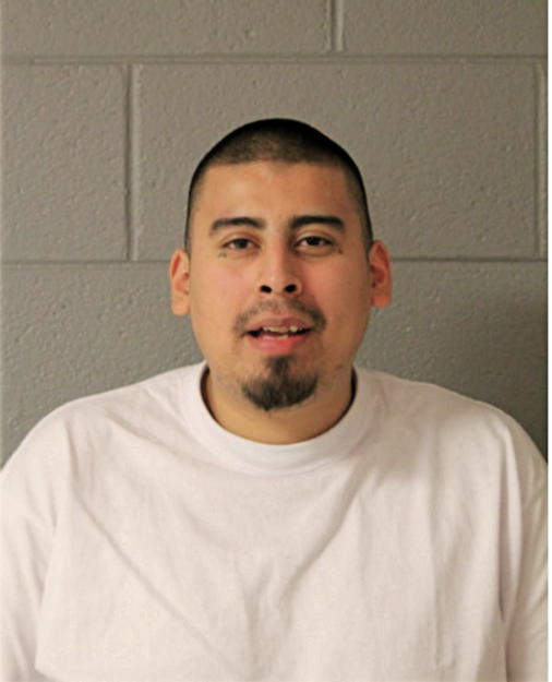 ALEJANDRO MENDOZA, Cook County, Illinois
