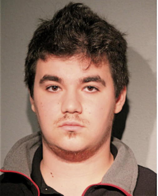 NICHOLAS J MOSES, Cook County, Illinois