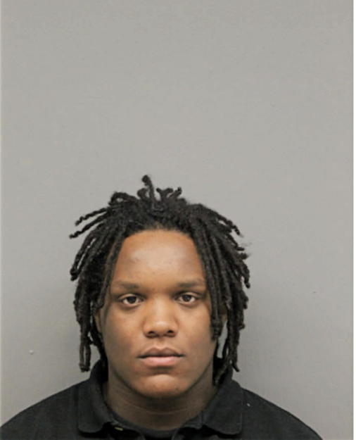 DEQUANE L NELSON, Cook County, Illinois