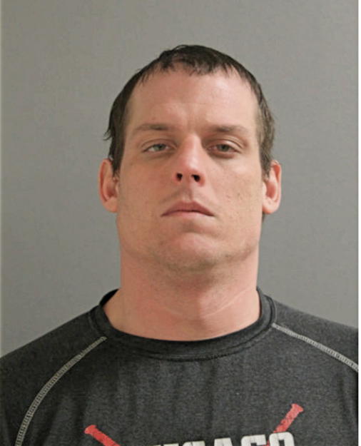 STEVEN J NICHOLSON, Cook County, Illinois