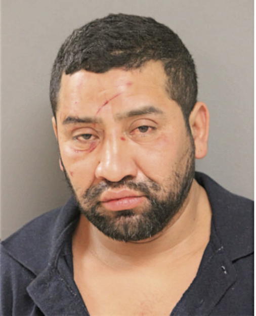 JOSE A OLEA, Cook County, Illinois