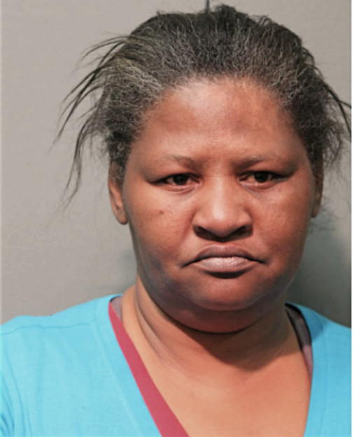 EVELYN E PLUMMER, Cook County, Illinois