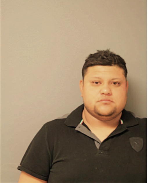 IVAN D PONCE-VALERIO, Cook County, Illinois