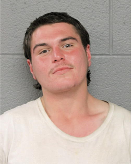 ANGEL L RAMOS, Cook County, Illinois