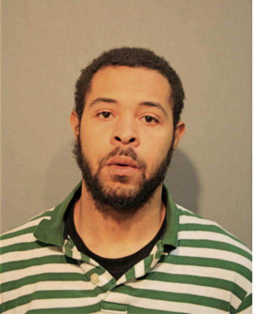 RYAN T RICHIE, Cook County, Illinois