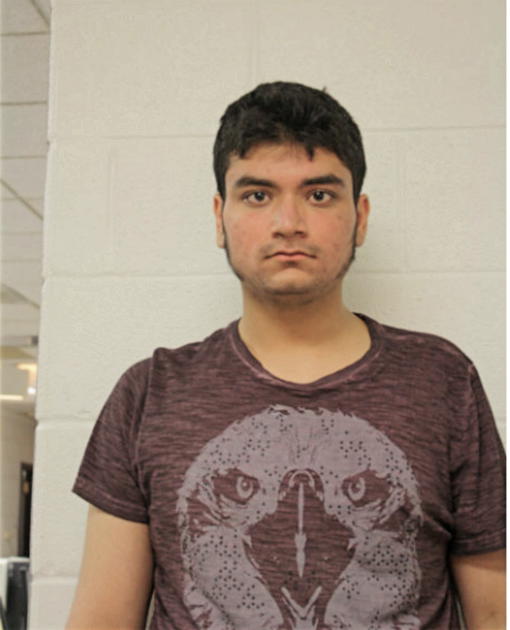 MUHAMMAD S SAYANI, Cook County, Illinois