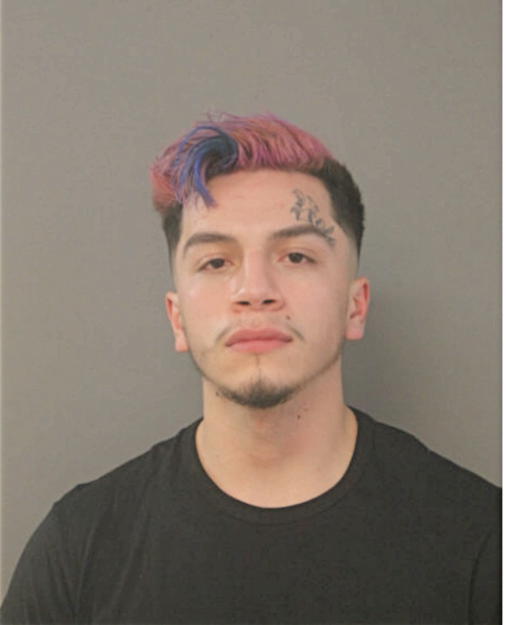 ELIAS ZAMOT, Cook County, Illinois