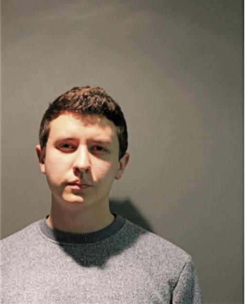 DYLAN M AMLIN, Cook County, Illinois
