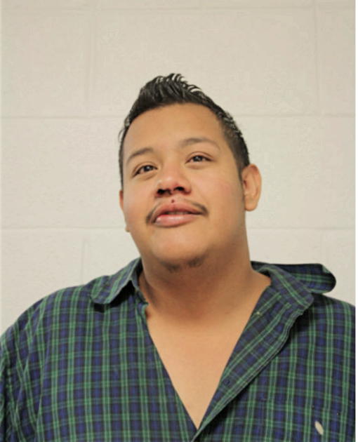 SERGIO ANAYA, Cook County, Illinois