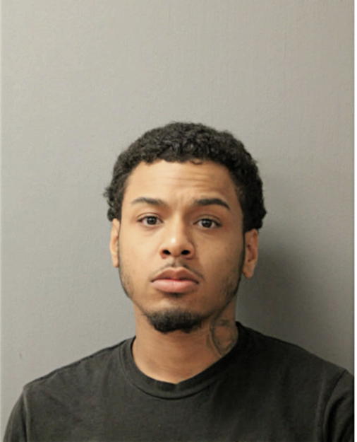 JOSHUA J BASKERVILLE, Cook County, Illinois