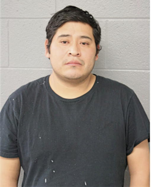 JUAN CARLOS CASTILLO, Cook County, Illinois