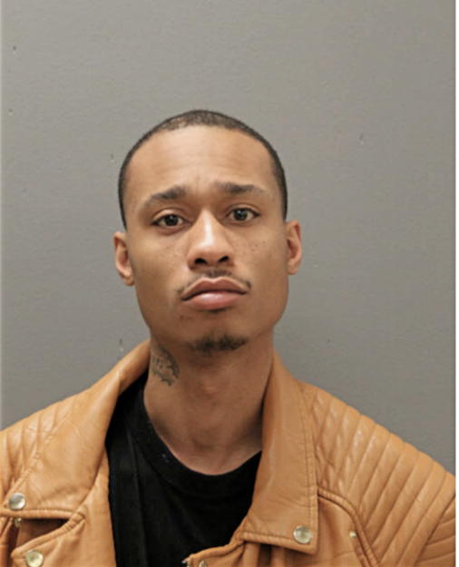 CHRISTOPHER R DAVIS, Cook County, Illinois