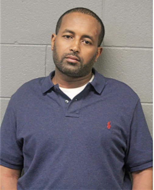 TEMESGEN GEDAR, Cook County, Illinois