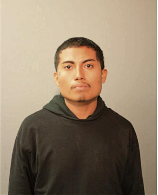 DAVID GONZALEZ, Cook County, Illinois
