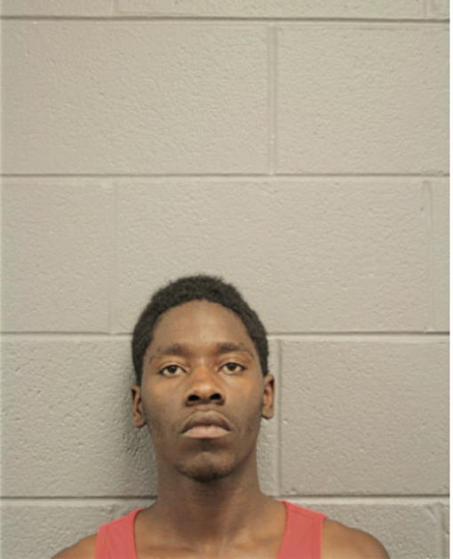 ANTHONY J HUDSON, Cook County, Illinois
