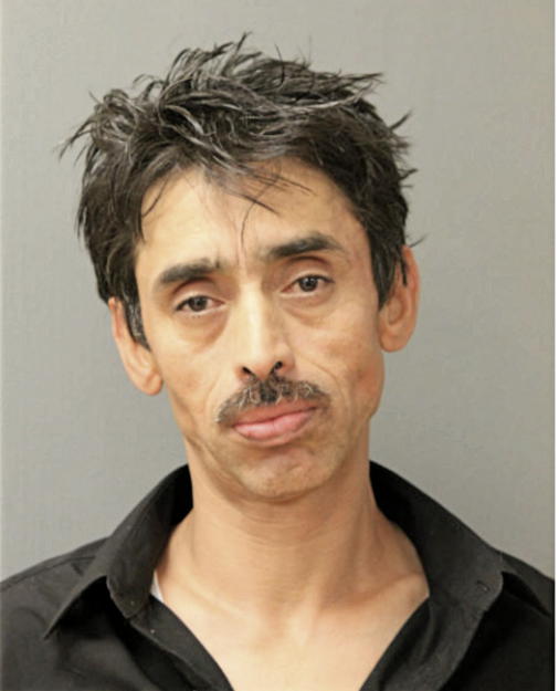 ADAN PALENCIA-ANABISCA, Cook County, Illinois