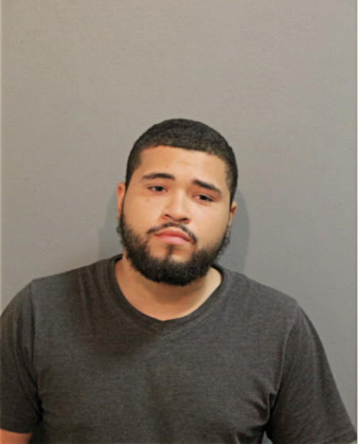 ORLANDO PARTIDA, Cook County, Illinois