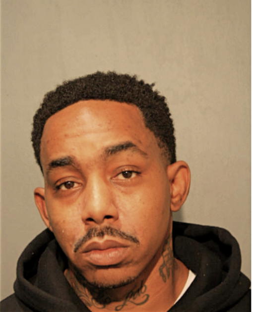DAVID L RIDLEY, Cook County, Illinois