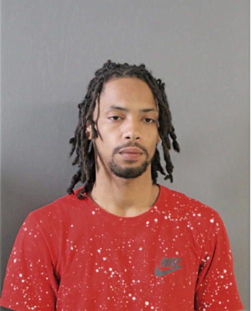 REGINALD B ROBINSON, Cook County, Illinois