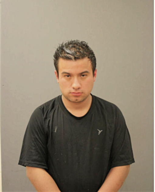 RODOLFO RODAS, Cook County, Illinois