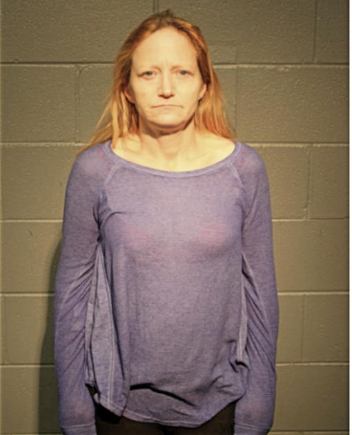 KIMBERLY A SAUER, Cook County, Illinois