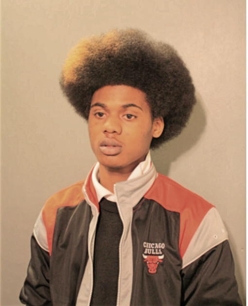 TORONTAE Q AGEE, Cook County, Illinois