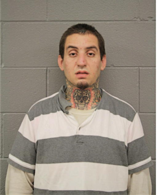 SAMI AHMAD, Cook County, Illinois