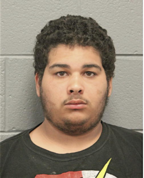 NATHANIEL L BAEZ, Cook County, Illinois