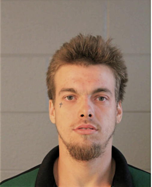 MICHAEL A EVERETT, Cook County, Illinois