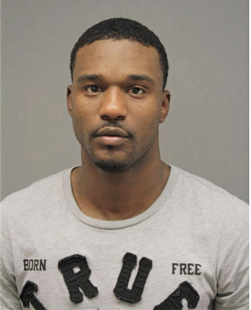 MICHAEL C GOLDSMITH, Cook County, Illinois