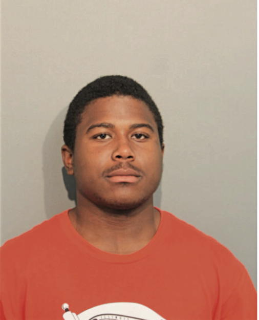 BRIAN L HENDERSON, Cook County, Illinois