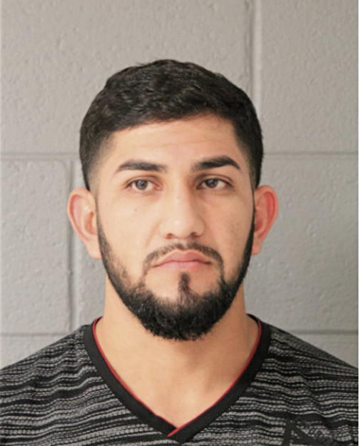 EFFREN IBANEZ-TAMAYO, Cook County, Illinois