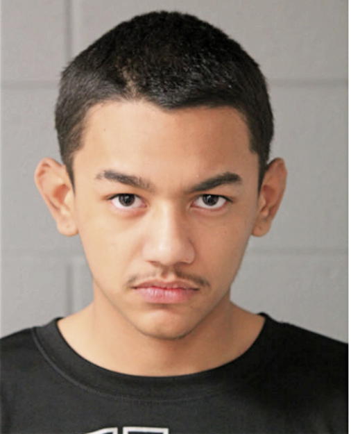 ALFREDO LONGORIA, Cook County, Illinois