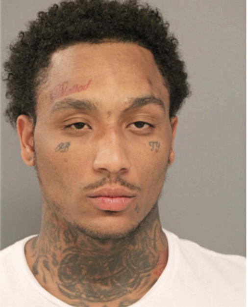MICHAEL W LOVE, Cook County, Illinois
